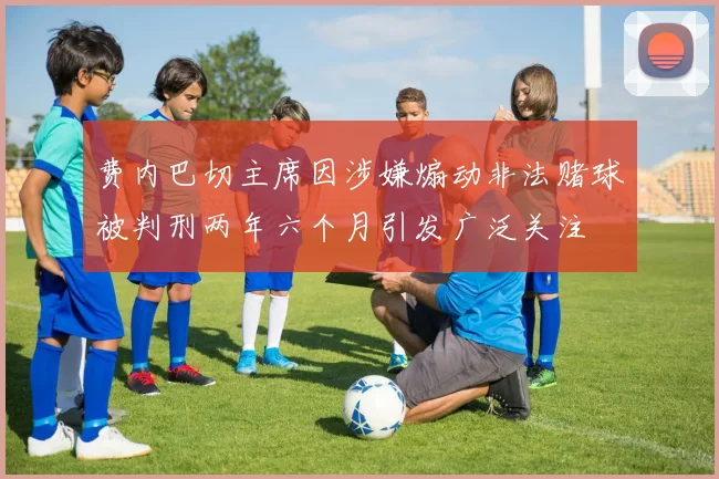 费内巴切主席因涉嫌煽动非法赌球被判刑两年六个月引发广泛关注