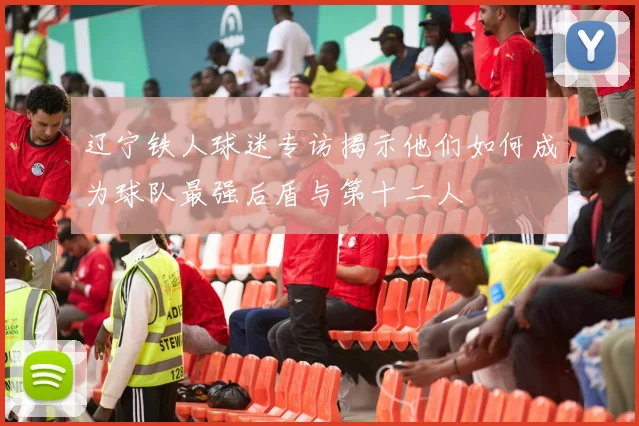 辽宁铁人球迷专访揭示他们如何成为球队最强后盾与第十二人
